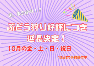 ぶどう狩り延長します！