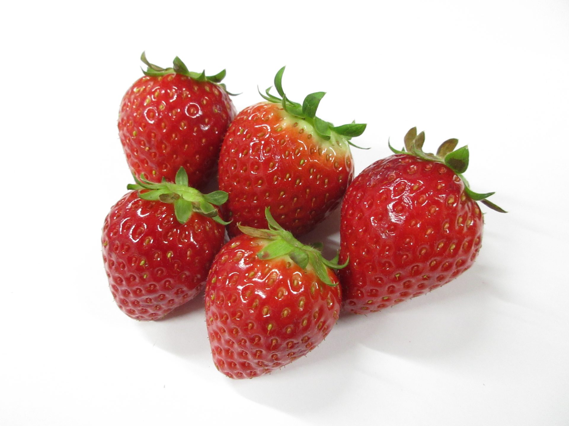 �ۤ������