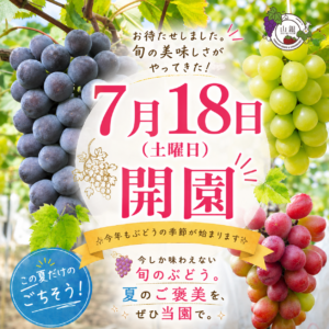 直売開始日のお知らせ